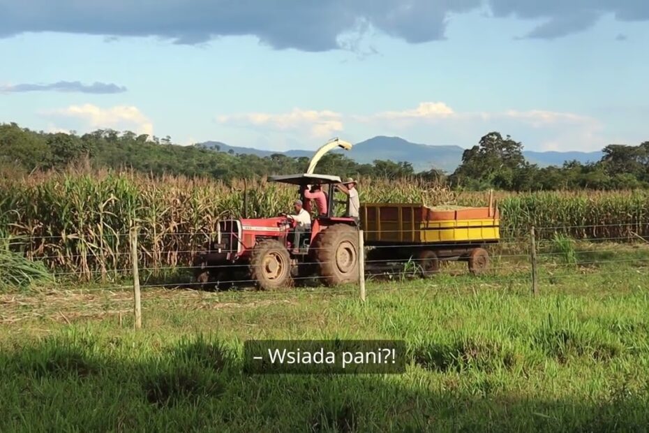 Rolnik Ciężkich Obyczajów 17 rolnik ciezkich obyczajow 1