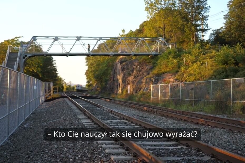 Towarzystwo 5 towarzystwo 1